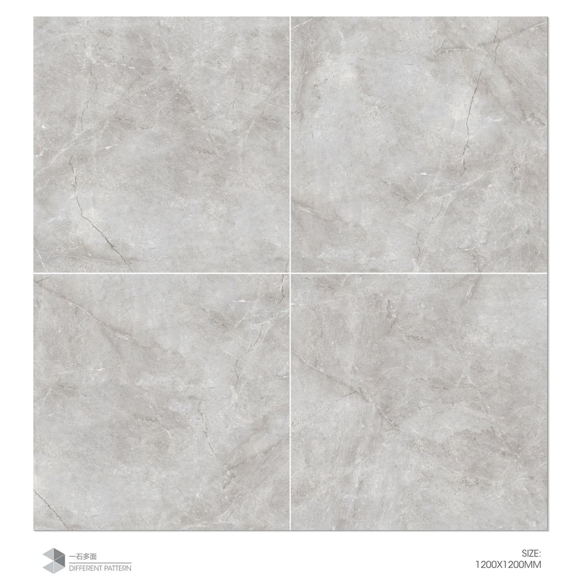 YCQ-DH121216