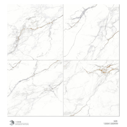 YCQ-DH121227